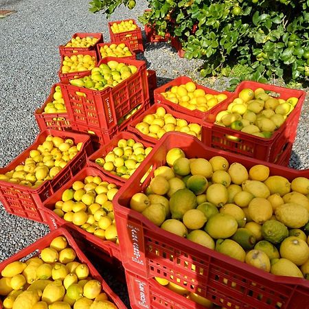 Profumo Di Zagara Acireale Exterior foto