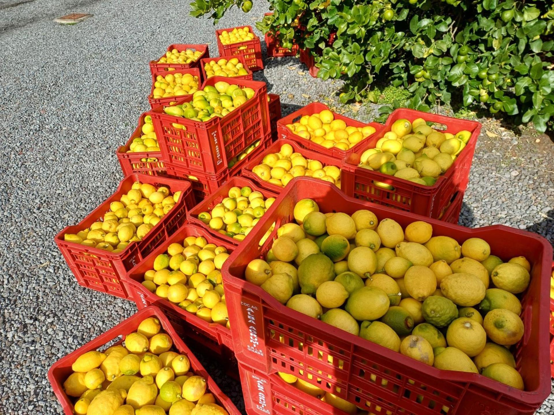 Profumo Di Zagara Acireale Exterior foto